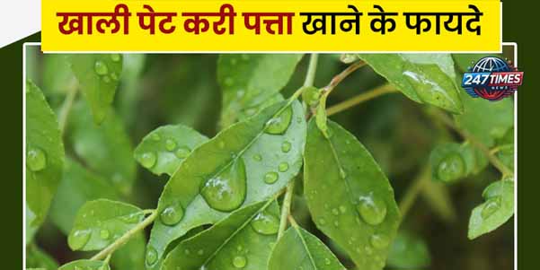सुबह खाली पेट खाएं करी पत्ते की 4 पत्तियां: सिर से लेकर पेट तक हर बीमारी का अचूक इलाज