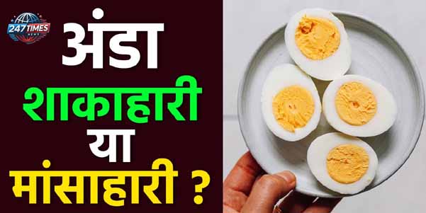 अंडा शाकाहारी है या मांसाहारी? वैज्ञानिकों ने दिया सटीक जवाब, जानें सच्चाई