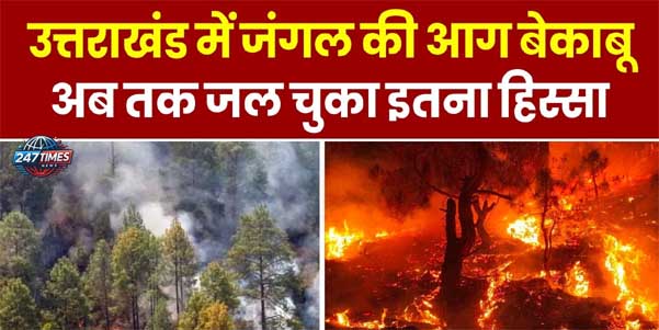 उत्तराखंड में जंगल की आग नियंत्रण: वन मंत्री ने दिए कड़े निर्देश, 400 करोड़ रुपये का प्रस्ताव