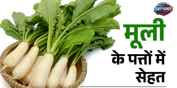 सर्दियों का सुपरफूड: मूली के फायदे, उपयोग और सावधानियां