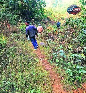 जमशेदपुर: बाघ के आतंक से दहशत, ग्रामीणों को सतर्क रहने की सलाह