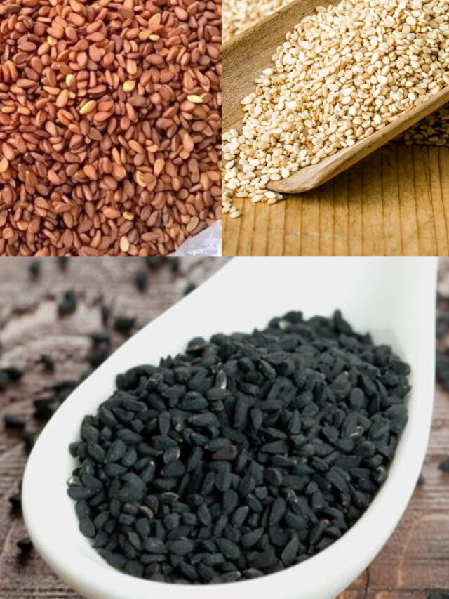 काले या सफेद तिल: कौन से तिल खाएं? महिलाओं के लिए सुपरफूड, पीरियड्स और मेनोपॉज में फायदेमंद