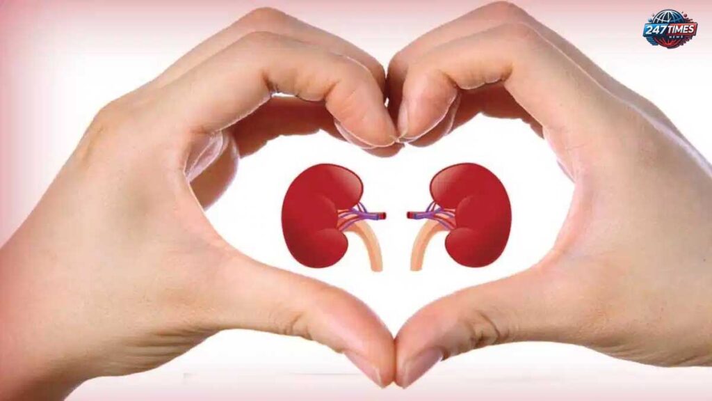किडनी के लिए जहर का काम करते हैं ये 10 फूड्स,