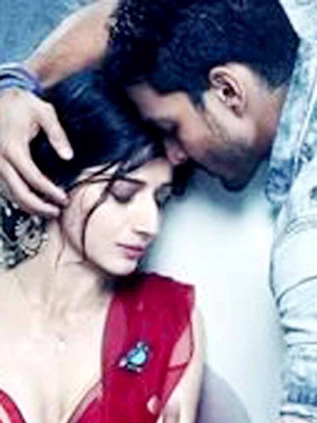 Sanam Teri Kasam Box Office Day 4: री-रिलीज के बाद बॉक्स ऑफिस पर हिट, चार दिनों में तोड़ डाले कई रिकॉर्ड!