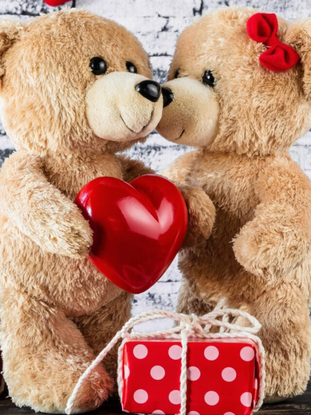 🧸 Happy Teddy Day 2025: टेडी बियर के साथ प्यार और खुशियों का जश्न 🧸