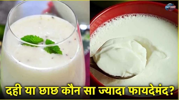 गर्मियों में दही vs छाछ: कौन है ज्यादा फायदेमंद? जानिए सेहत के लिहाज से कौन बेहतर है?