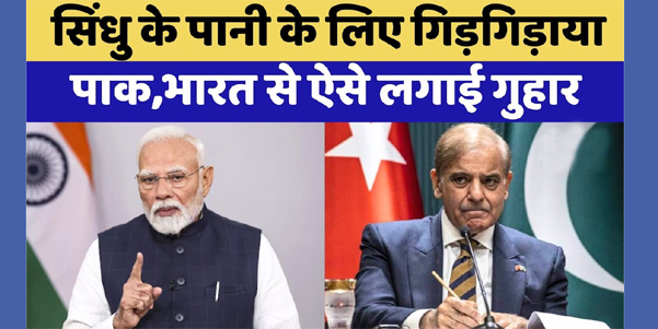 'सिंधु जल संधि पर पुनर्विचार करें' - पाकिस्तान की गुहार, भारत ने दिया कड़ा जवाब